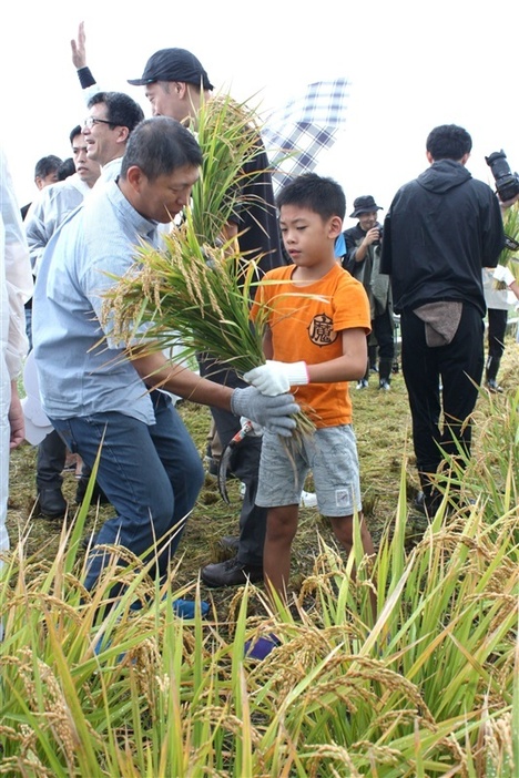 菊陽町の水田であった稲刈りイベント。従業員が家族と一緒に体験した