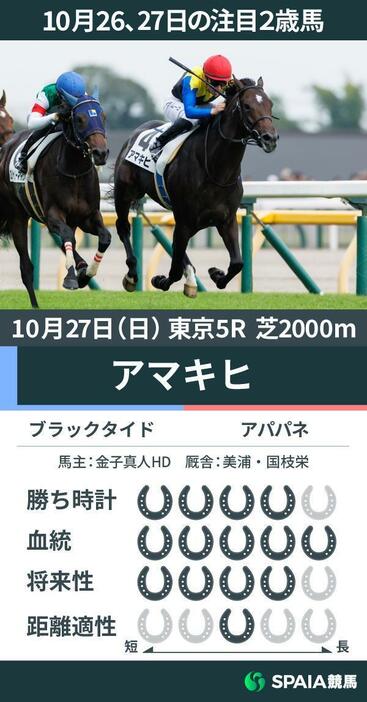 10月27日東京5R新馬戦の勝ち馬アマキヒ