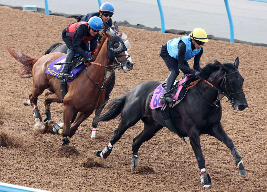 アーバンシック（左）は石神深騎手を背に美浦ウッド3頭併せで追い切られた（撮影・丹羽敏通）