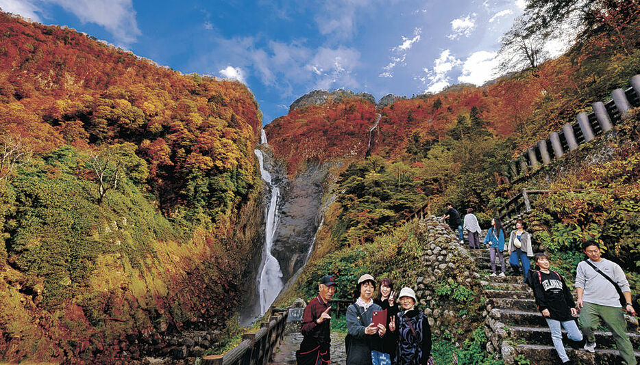 見頃を迎えた紅葉と滝の景色を楽しむ行楽客＝立山町芦峅寺