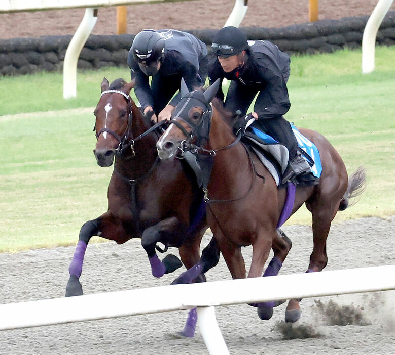 ポリトラックをシヴァース（右）と併せ馬で追い切るドウデュース