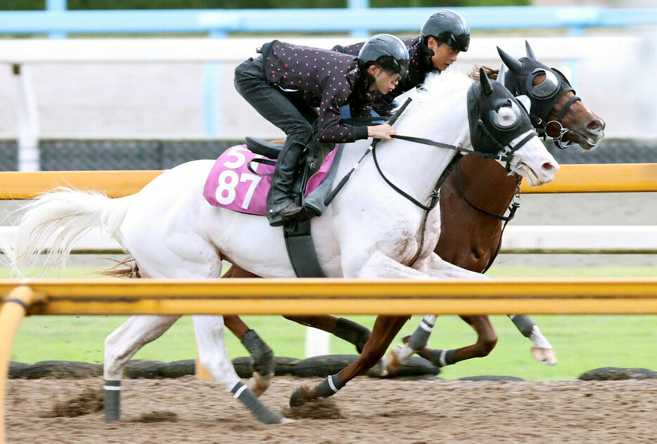 CWコースにて併せ馬で追い切るゴージャス（手前）