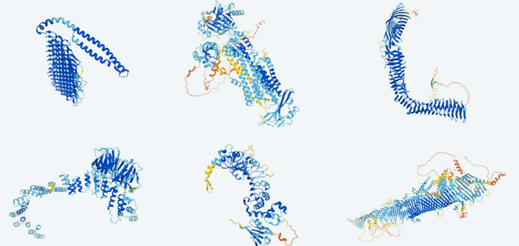 アミノ酸で構成されるタンパク質はさまざまな3次元構造を持つことを示す図（グーグルディープマインド提供）