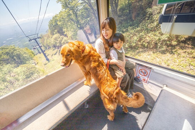 愛犬と一緒に空中散歩