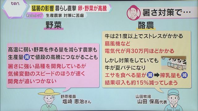 読売テレビニュース