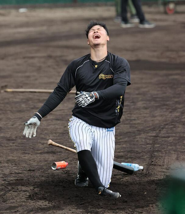 野球漬けのオフとなることを大歓迎した佐藤輝。新監督のもとで大爆発だ