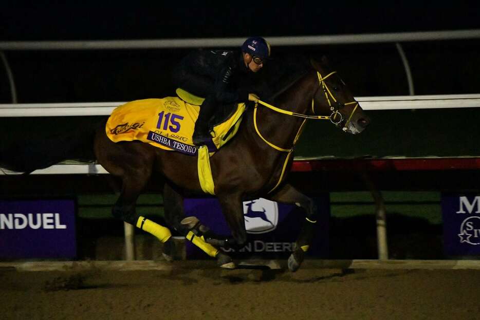 早朝のダートコースを軽快に駆け抜けたウシュバテソーロ＝現地30日、米デルマー競馬場（撮影Katsumi.Saito）