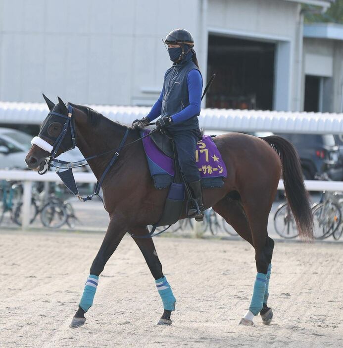 ブローザホーンはリフレッシュ効果十分。秋初戦から力を出せる態勢だ