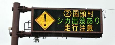 「シカ出没あり走行注意」と運転手に呼びかける電光掲示板＝２４日、国頭村・国道５８号