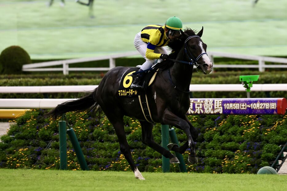 アイビーS・マスカレードボールと戸崎圭太騎手