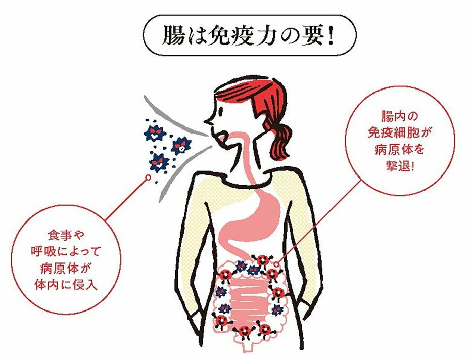 みそ汁で腸を整えよう