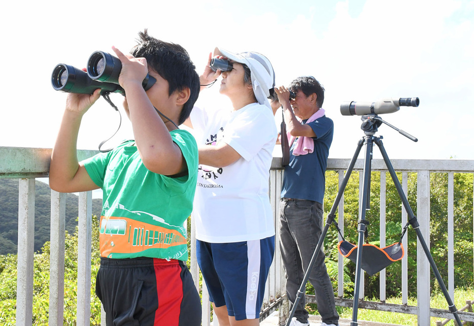 「秋の使者」サシバを観察する参加者ら＝14日、鹿児島県瀬戸内町