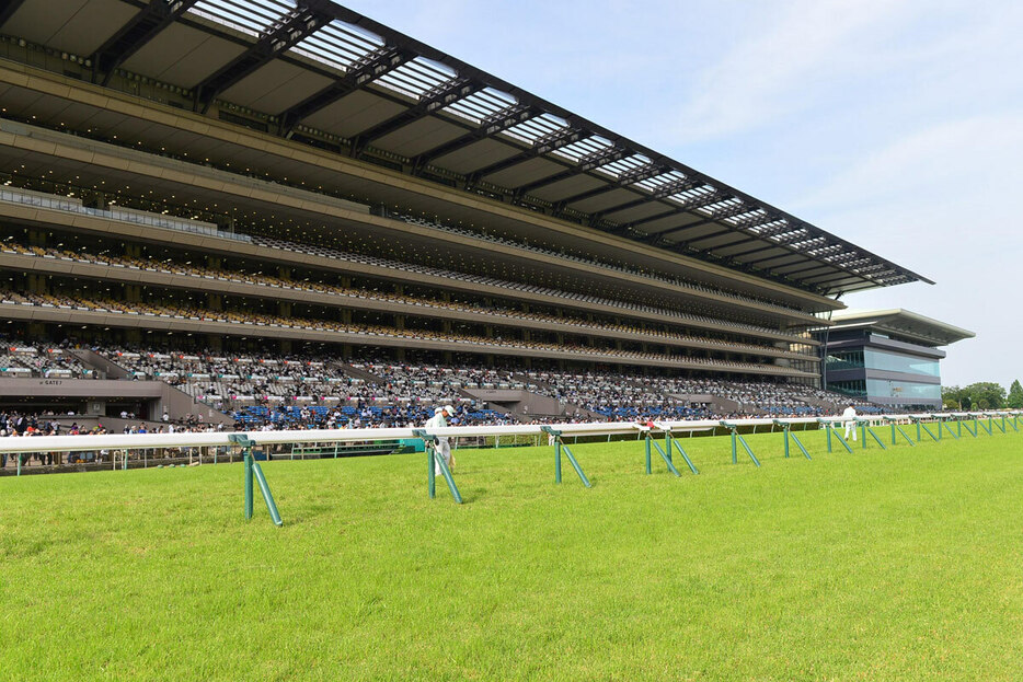 東京競馬場