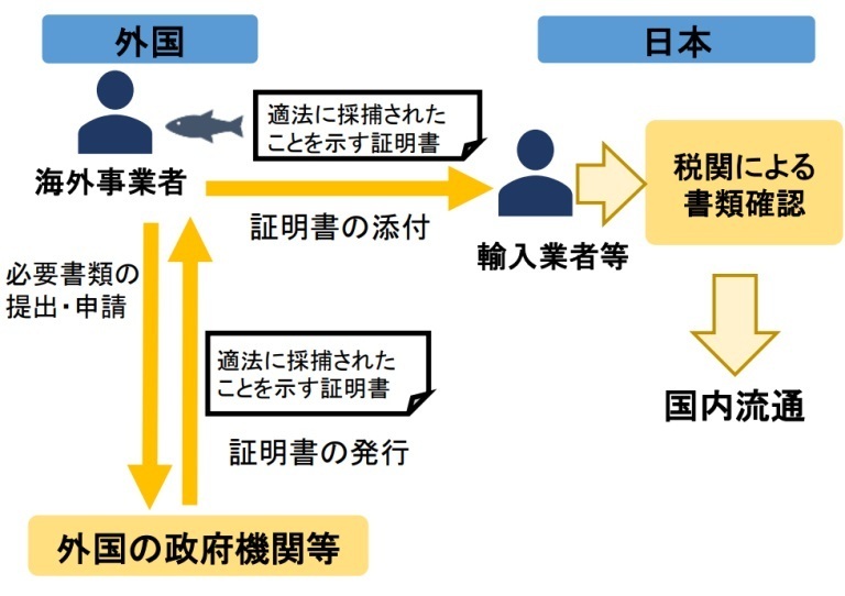 特定魚種を輸入するには外国の政府機関などが発行した証明書が必要になった（出典：特定水産動植物等の国内流通の適正化等に関する法律の概要）