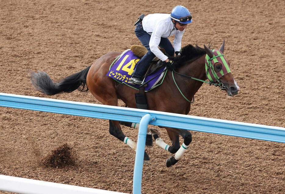 ピースワンデュックは柴田善騎手を背に美浦ウッドを単走で追い切られた（撮影・丹羽敏通）