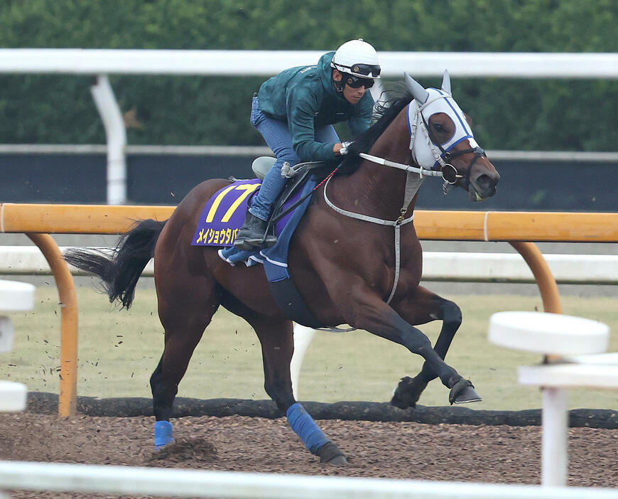 浜中騎手を背にCウッドを単走で追い切るメイショウタバル（撮影・白石智彦）