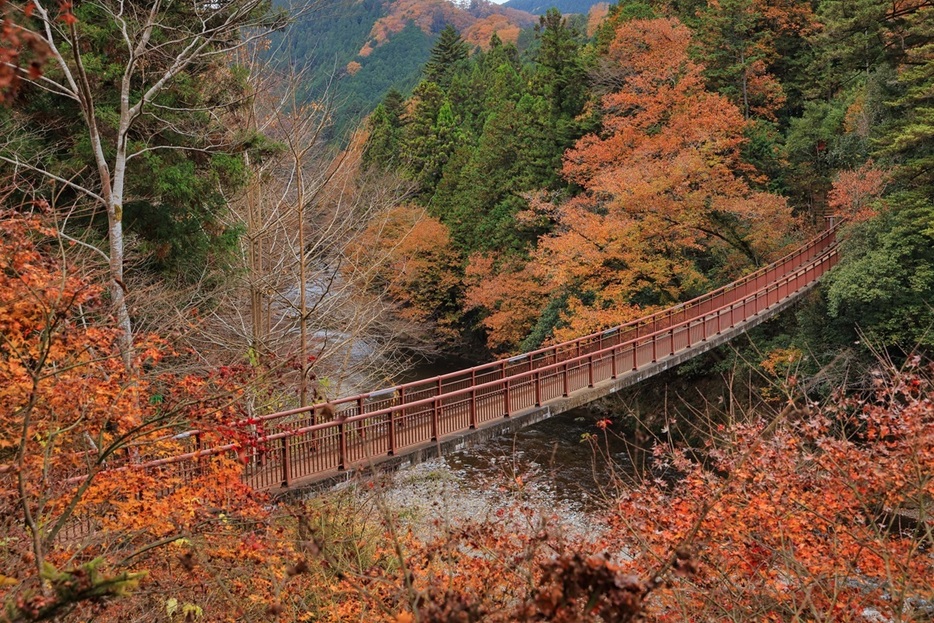 秋川流域の紅葉