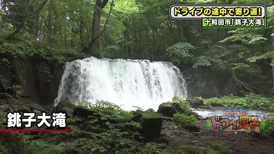 奥入瀬渓流の見どころの一つ「銚子大滝」