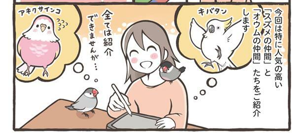 どの鳥さんをお迎えしようか迷われている方に、人気が高いスズメの仲間とオウムの仲間をご紹介