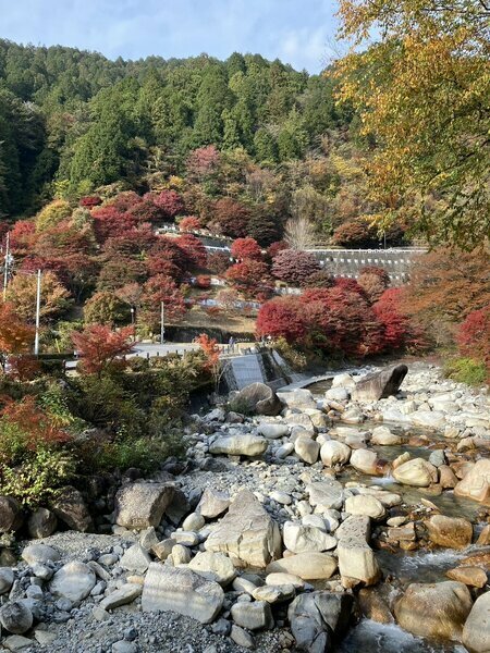 竜神の滝から駐車場へ戻る際の紅葉（撮影：宮季日菜）