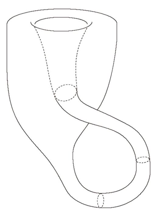 図1　3次元空間にはめこまれた「クラインの壺」(図版:長澤貴之)