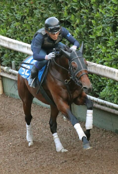 東京コース向きの末脚を持つオフトレイル