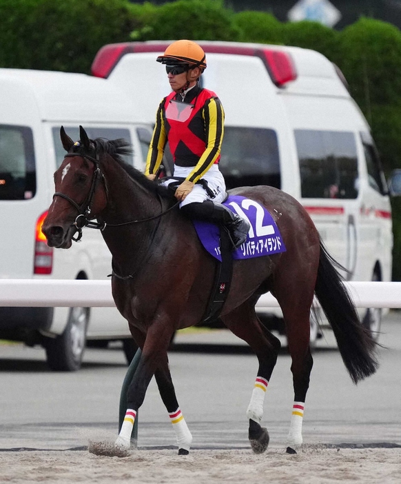 ＜東京11R　天皇賞・秋＞13着でレースを終えたリバティアイランド（撮影・郡司　修）