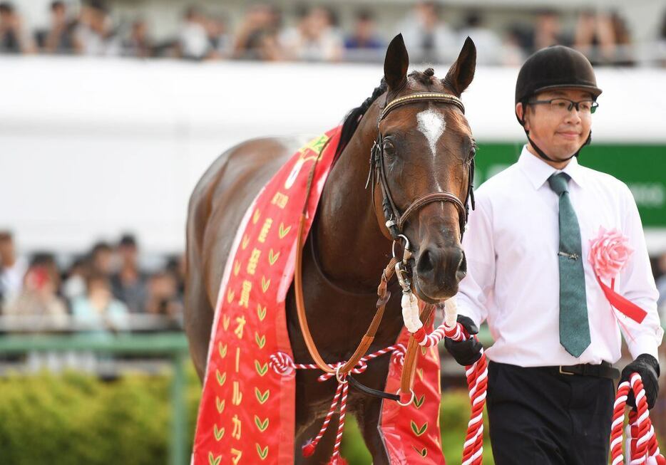 重賞連勝中のレーベンスティール