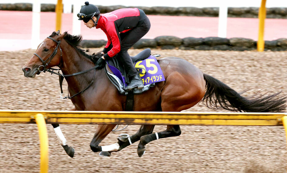 馬体には成長が感じられるリバティアイランド