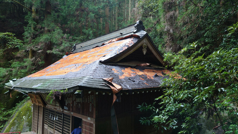 銅板が盗まれ、下地がむき出しになった厳島神社の屋根＝栃木県足利市教委提供