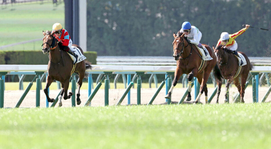 京都競馬場の芝コースは稍重でスタート。５Ｒから良に