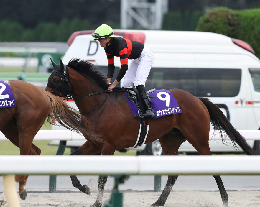 天皇賞・秋で3着になったホウオウビスケッツと岩田望騎手（撮影・丹羽敏通）