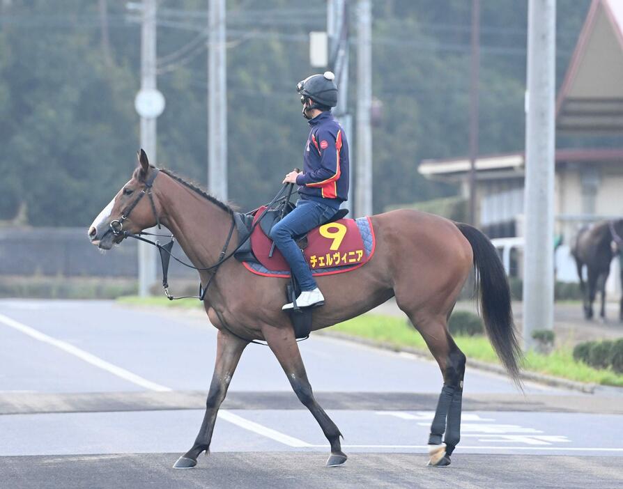 　Ｇ１連勝を狙うオークス馬チェルヴィニア