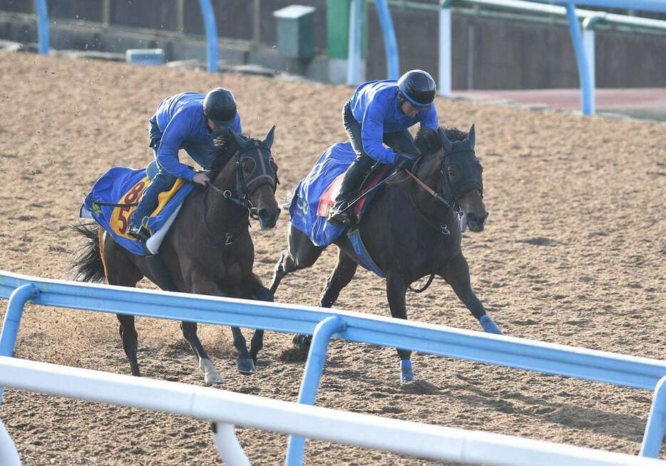 馬なりで軽快な動きを見せたシンティレーション（右）