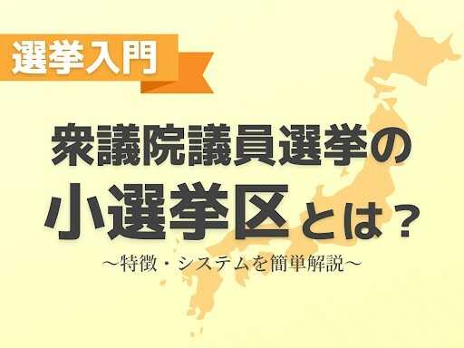 【衆院選2024】小選挙区制では個人名を選ぶ！衆議院議員選挙の仕組みを解説！