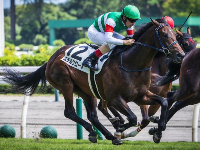 初勝利を目指すエデルクローネ(今年8月撮影、ユーザー提供：焙 烙さん)