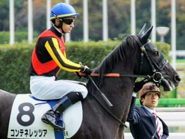 連勝を狙うコンテネレッツア(昨年11月撮影、ユーザー提供：ワラビさん)