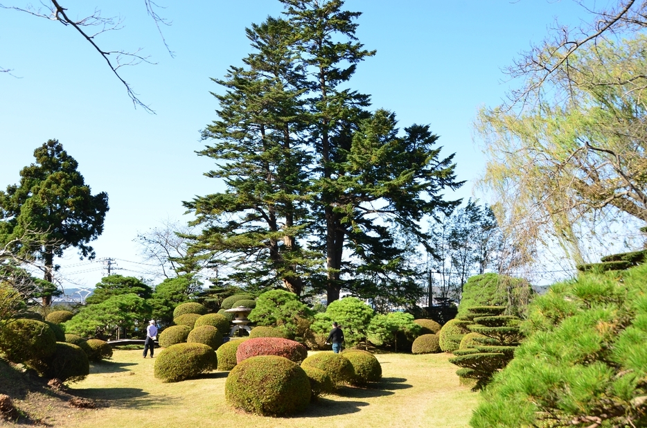 園内を散策する来場者