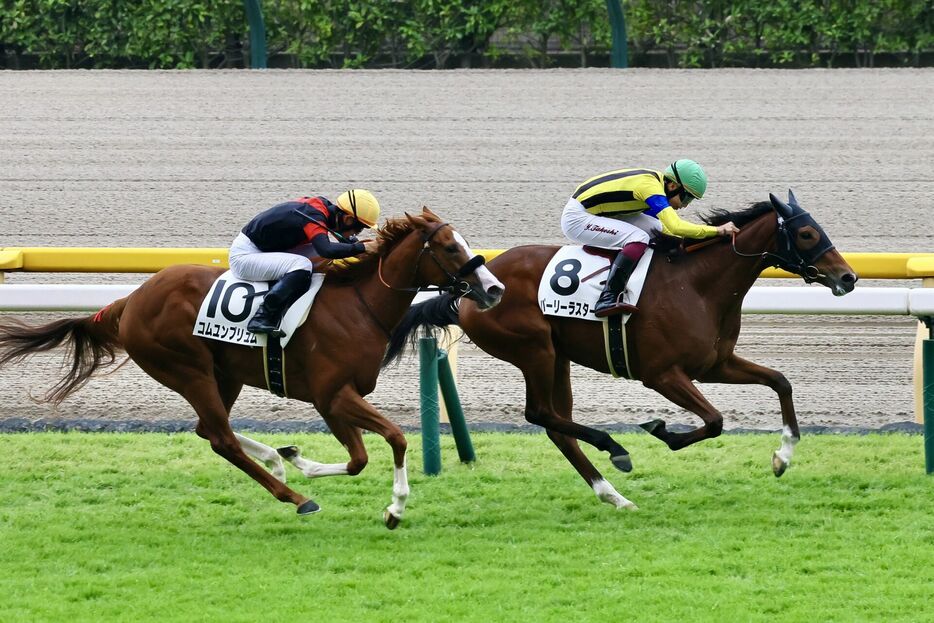 東京5R・パーリーラスターと横山武史騎手