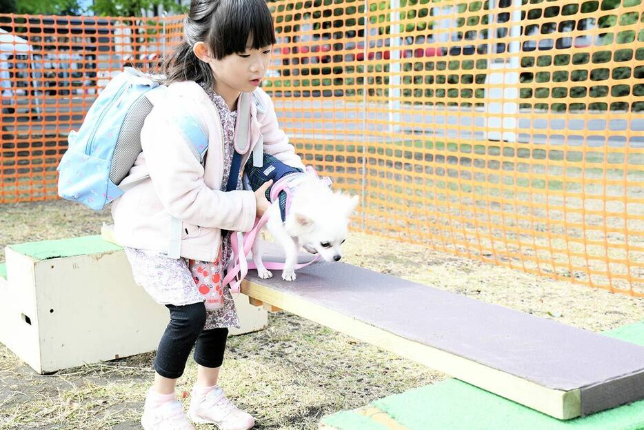 愛犬と災害時避難体験に挑戦する参加者＝２０日、山下公園