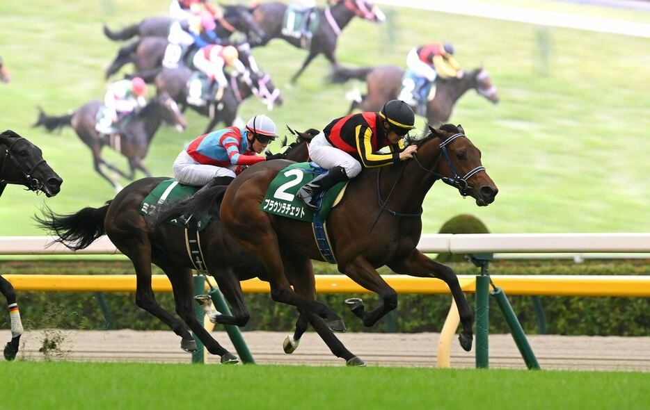 アルテミスSを制したブラウンラチェット＝26日、東京競馬場（撮影・奈良武）