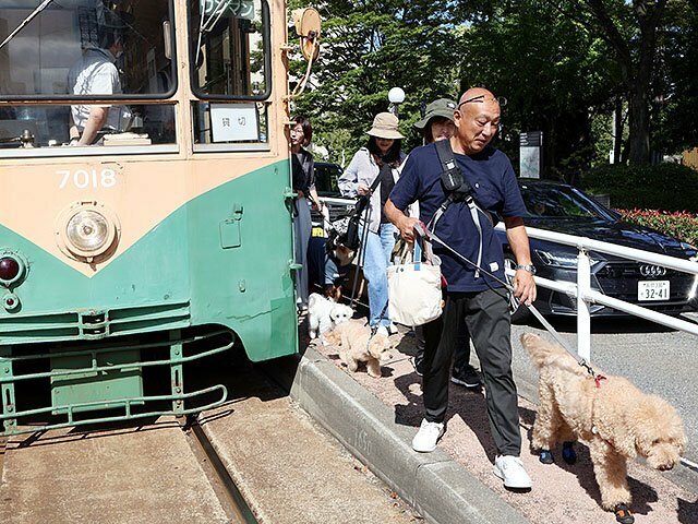 ワントラムから降車する犬と飼い主＝桜橋電停