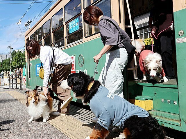 ワントラムから降車する犬と飼い主＝富山大前