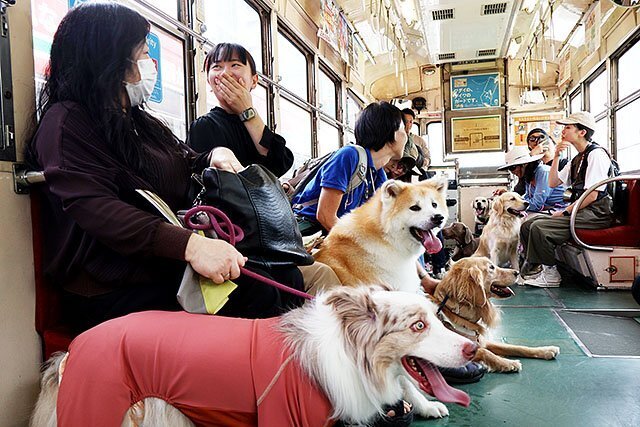 飼い主と犬が非日常を楽しんだワントラムの運行