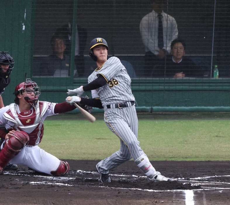 ＜フェニックスリーグ　楽・神＞　初回無死一塁、阪神・小幡は藤川監督の眼前で右前打を放つ（撮影・大森　寛明）