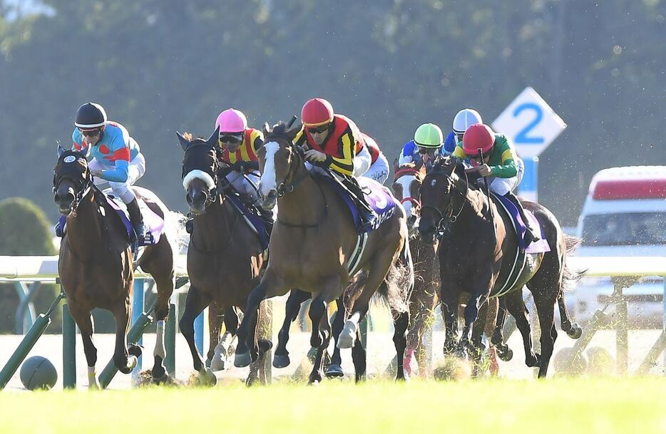 秋華賞を制したチェルヴィニア（中央）＝京都競馬場（撮影・岩川晋也）