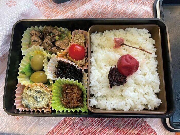 ジョージア人の大使の妻が初めて作ったお弁当。春だったので桜の塩づけもごはんの上に。