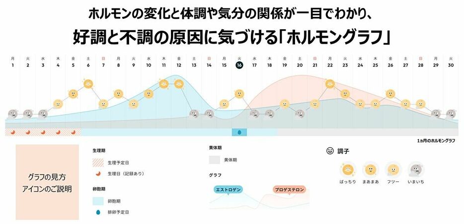 『ソフィBe』で可視化される「ホルモングラフ」