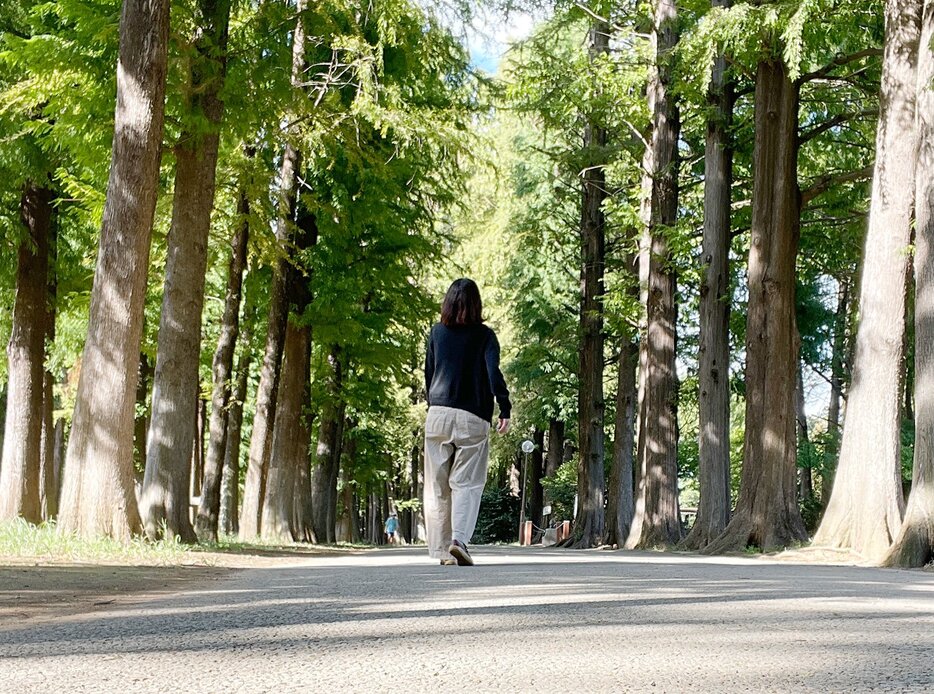 朝散歩は週末のルーティン。緑が匂い立つ樹々の中を歩くだけでも心地よい