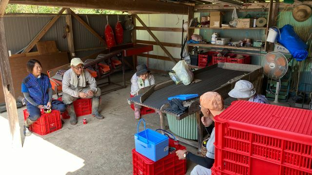 栗の収穫の合間に、農家の仲間と談笑。地元の甘い味噌汁が幸子さんのお気に入り